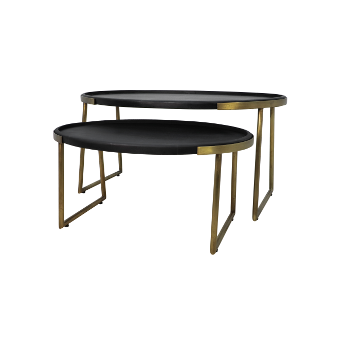 Ovale Salontafel Paul | Zwart Metaal | Goudkleurig Mangohout