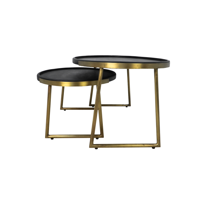 Ovale Salontafel Paul | Zwart Metaal | Goudkleurig Mangohout